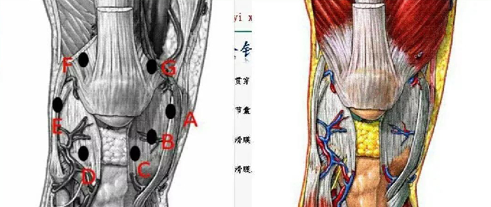 微信图片_20190827170157.jpg