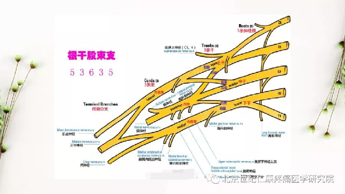 微信图片_20190828172858.jpg