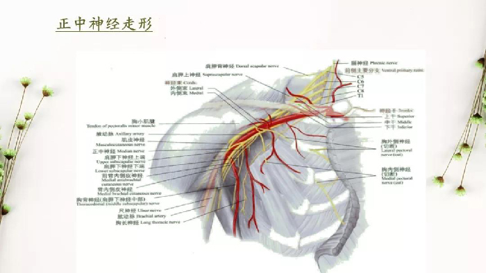 微信图片_20190828172909.jpg