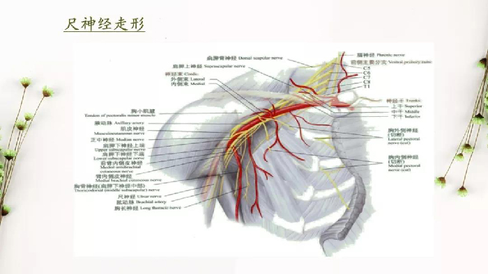 微信图片_20190828172945.jpg