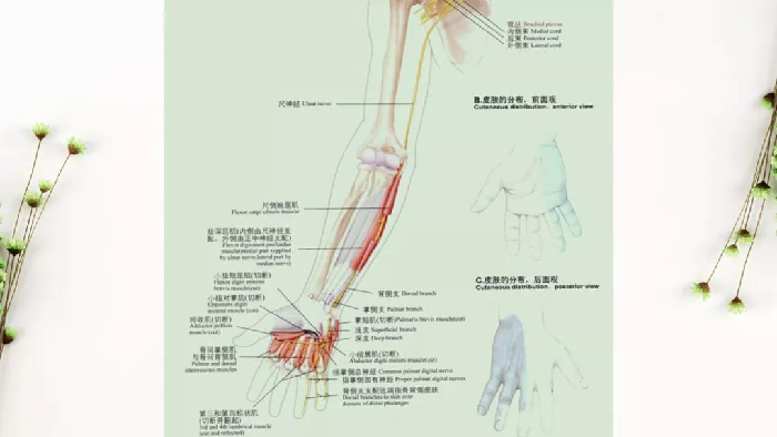 微信图片_20190828172948.jpg