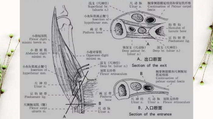 微信图片_20190828173004.jpg