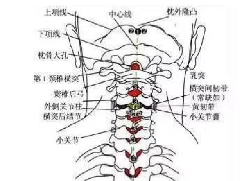 微信图片_20190831094407.jpg