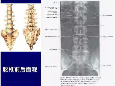 微信图片_20190831100428.jpg