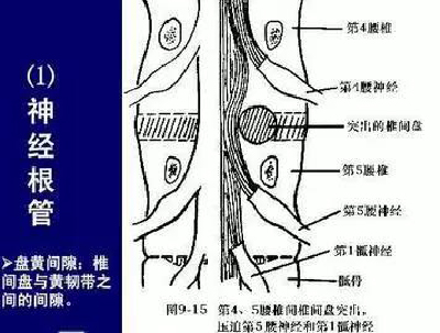 微信图片_20190831100511.jpg