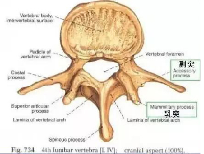 微信图片_20190831100423.jpg