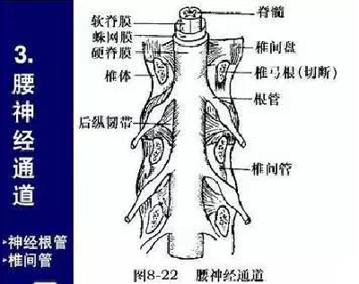 微信图片_20190831100508.jpg