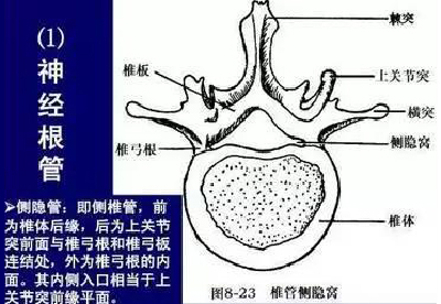 微信图片_20190831100513.jpg