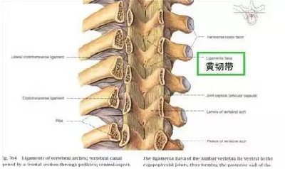 微信图片_20190831100553.jpg