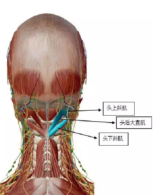 微信图片_20190831104929.jpg