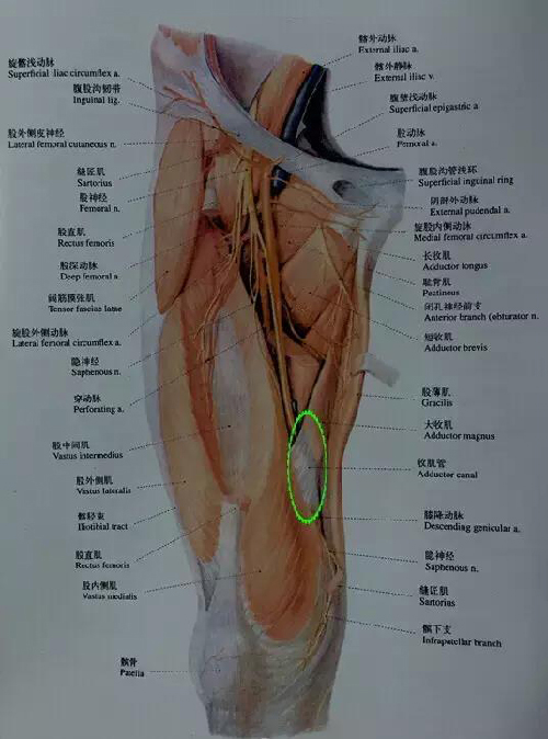 微信图片_20190831104955.jpg