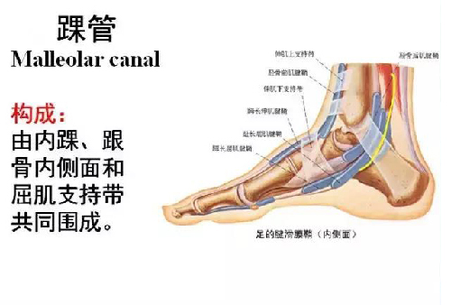 微信图片_20190831104958.jpg