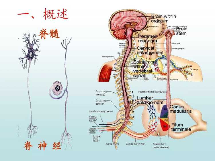 微信图片_20190831145315.jpg