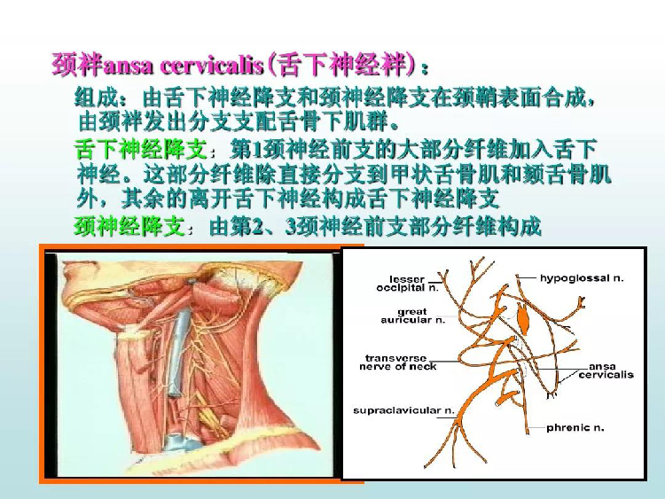 微信图片_20190831145326.jpg