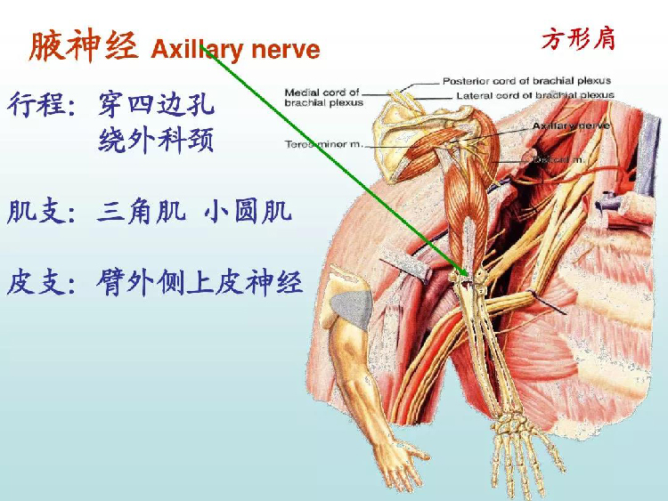 微信图片_20190831145338.jpg