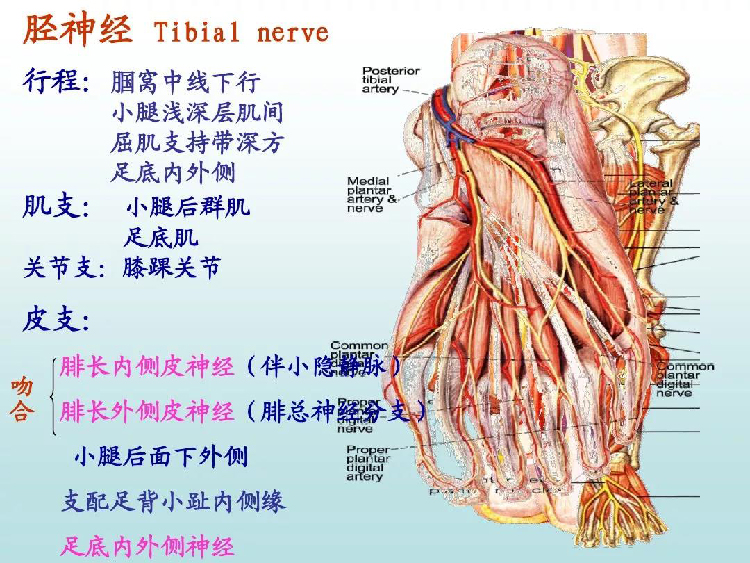 微信图片_20190831145438.jpg