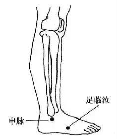 微信图片_20190902173927.jpg