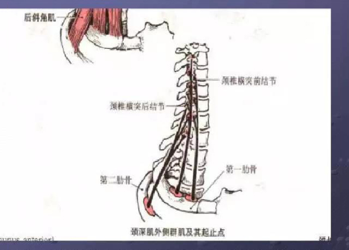 微信图片_20190903085058.jpg