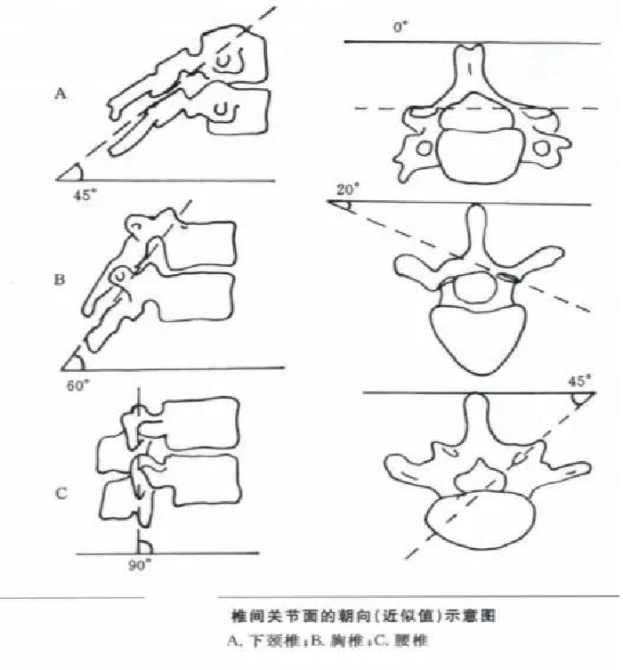 微信图片_20190903093547.jpg