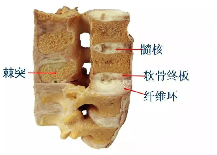 微信图片_20190903093552.jpg