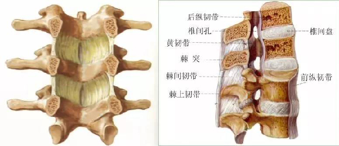 微信图片_20190903093555.jpg