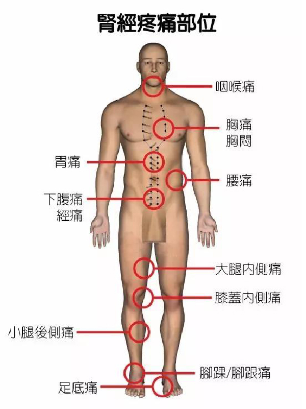 微信图片_20190903110047.jpg