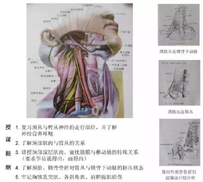 微信图片_20190903114448.jpg