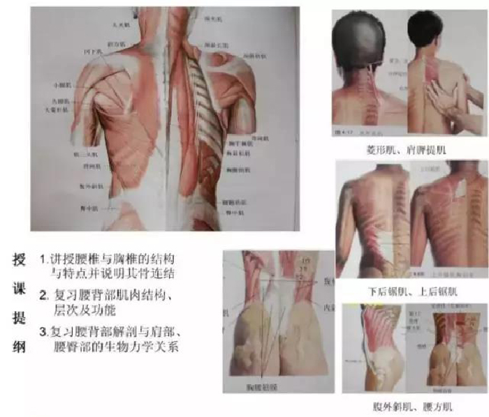 微信图片_20190903114502.jpg