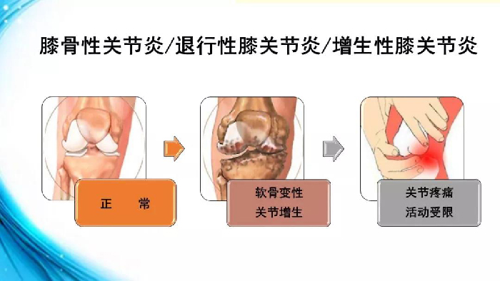 微信图片_20190903142256.jpg