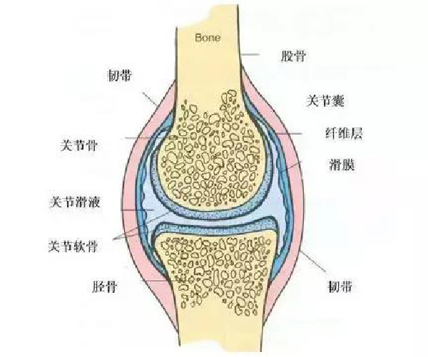 微信图片_20190903162247.jpg