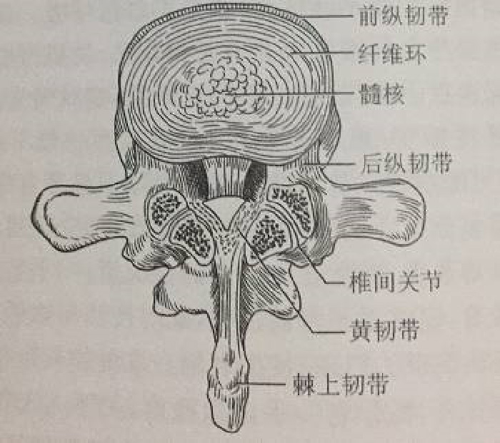 微信图片_20190916100233.jpg