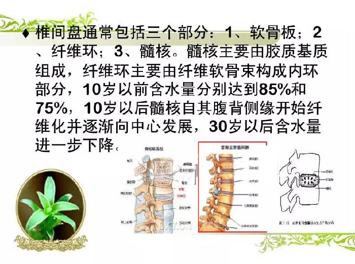 微信图片_20190916104608.jpg