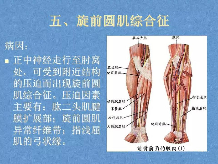 微信图片_20190916142453.jpg