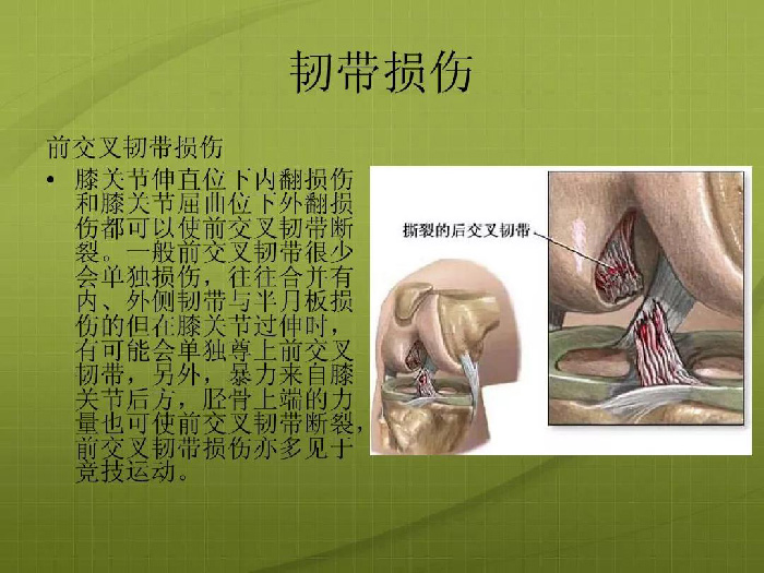 微信图片_20190916155000.jpg