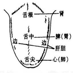 微信图片_20190918084629.jpg