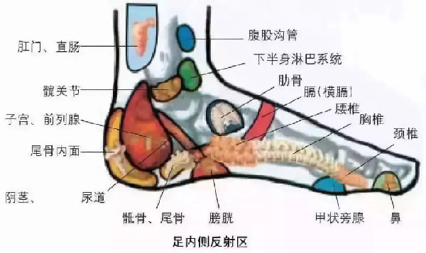 微信图片_20190918150954.jpg