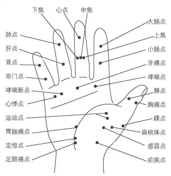 微信图片_20190918150947.jpg