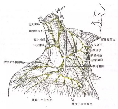 微信图片_20190919141551.jpg