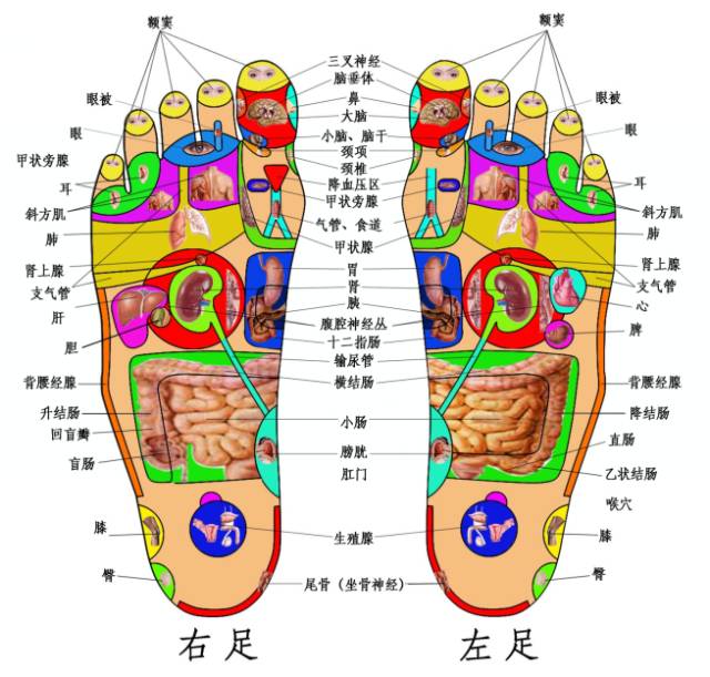 微信图片_20190919142702.jpg