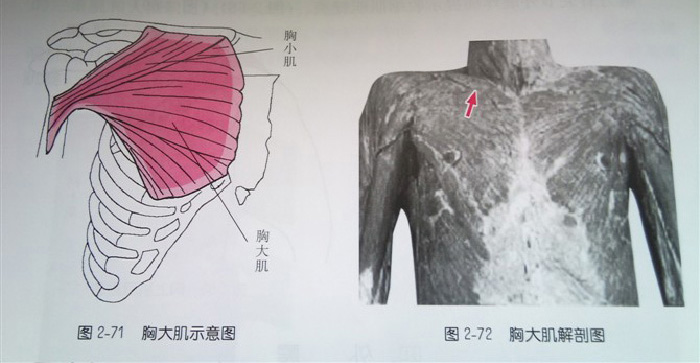 微信图片_20190919174118.jpg