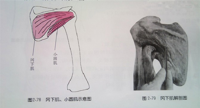 微信图片_20190919174129.jpg