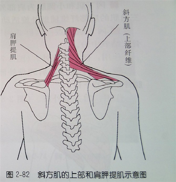 微信图片_20190919174135.jpg