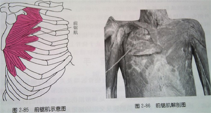 微信图片_20190919174141.jpg