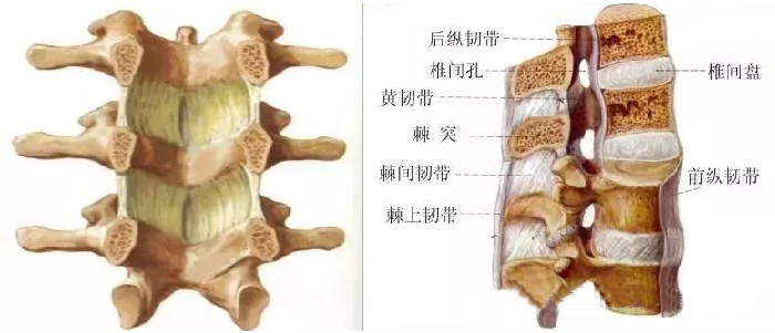 微信图片_20190920105802.jpg