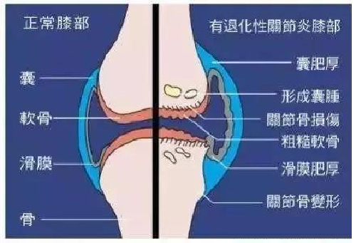 微信图片_20190921110300.jpg