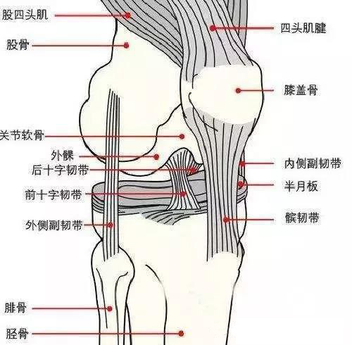 微信图片_20190921110305.jpg