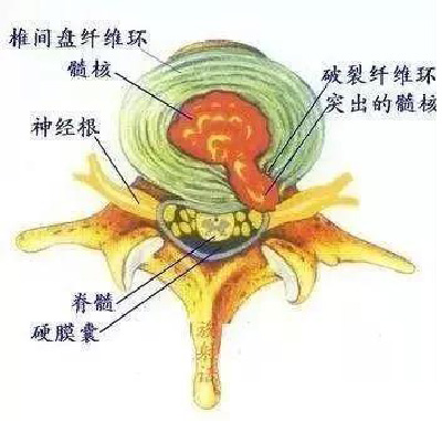 微信图片_20190921143858.jpg