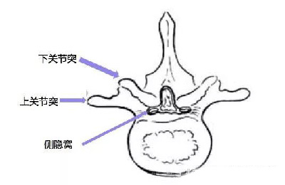 微信图片_20190924154343.jpg