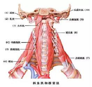 微信图片_20190924162813.jpg