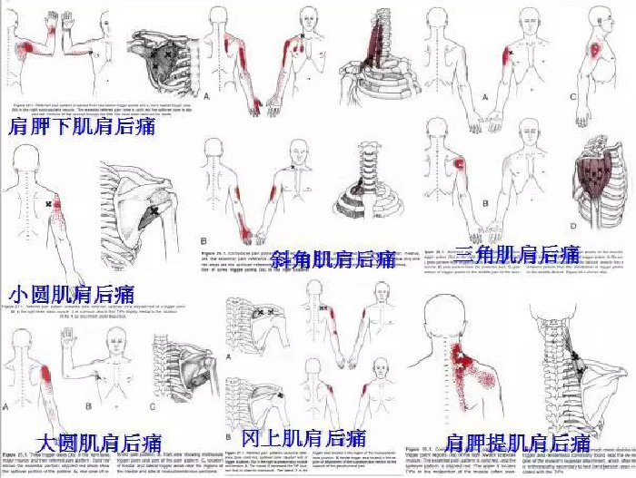 微信图片_20190924170022.jpg